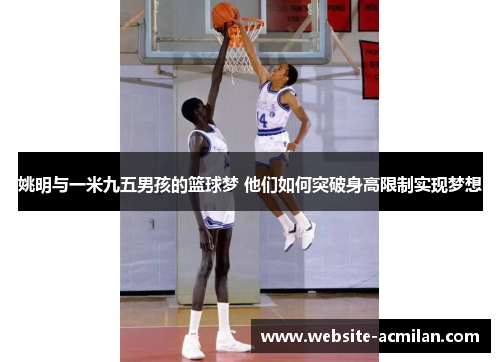 姚明与一米九五男孩的篮球梦 他们如何突破身高限制实现梦想