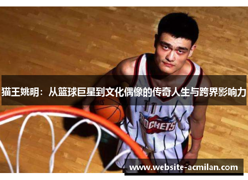 猫王姚明：从篮球巨星到文化偶像的传奇人生与跨界影响力