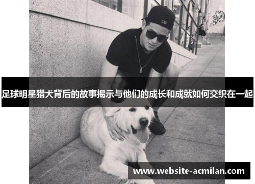 足球明星猎犬背后的故事揭示与他们的成长和成就如何交织在一起