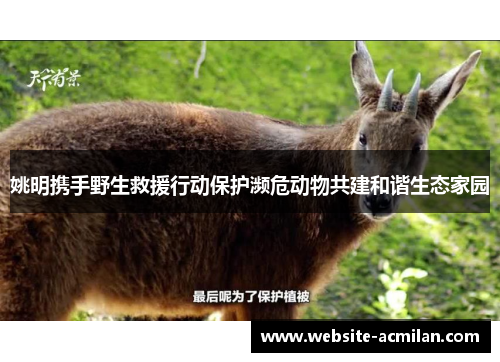 姚明携手野生救援行动保护濒危动物共建和谐生态家园